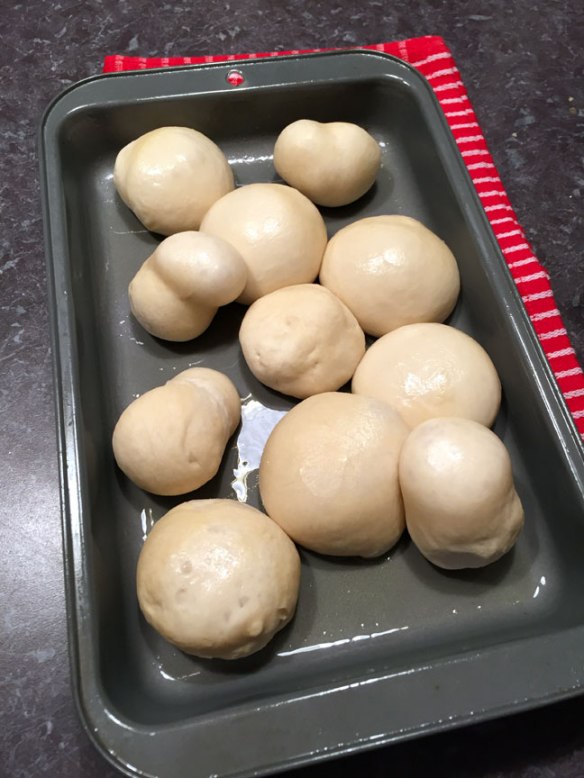 Thanksgiving-2014-009