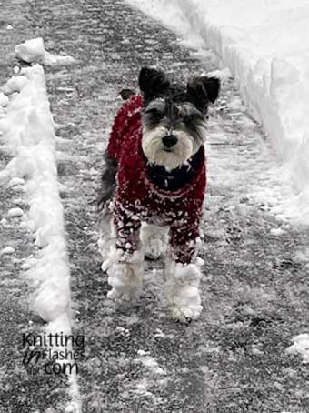 Snow storm Ember 2024